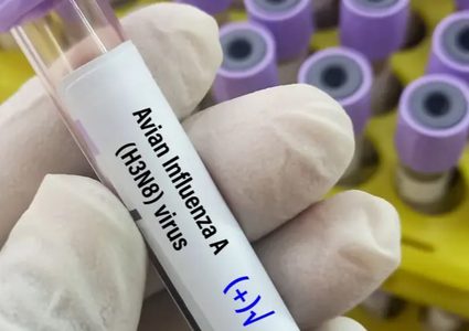 الصين تسجل أول حالة وفاة بمتحور جديد من إنفلونزا الطيور