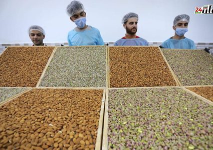 تجهيز أنواع مختلفة من الحلقوم والبدء بتسويقها في أسواق غزة مع حلول عيد الفطر