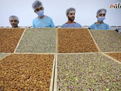 تجهيز أنواع مختلفة من الحلقوم والبدء بتسويقها في أسواق قطاع غزة مع حلول عيد الفطر المبارك