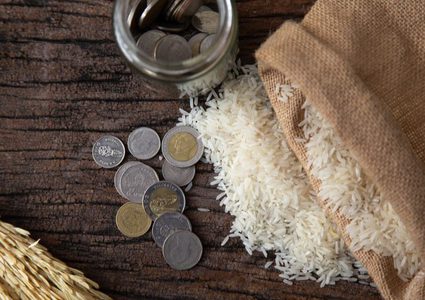 موعد زكاة الفطر