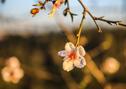 حالة الطقس: درجات الحرارة أعلى من معدلها بحدود 9 درجات مئوية