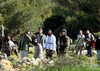 بيت لحم:مستوطنون يسرقون ثلاثة رؤوس أغنام من قرية كيسان