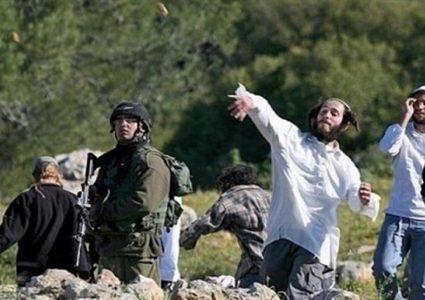 مستوطنون يهاجمون مركبات المواطنين على طريق جنين نابلس