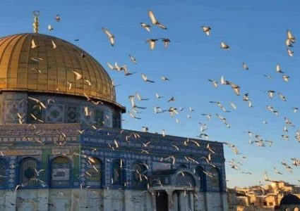 الطقس: أجواء ربيعية و يطرأ ارتفاع طفيف على درجات الحرارة