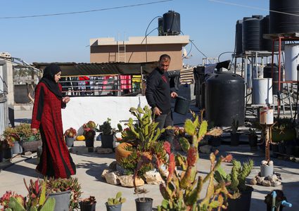 زوجان فلسطينيان ينجحان في إنتاج صابون طبي من شتلات الألوفيرا