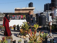 الزوجان الفلسطينيان سلامة وآلاء بدوان وسط أشجار الألوفيرا المزروعة على سطح منزلهما في قطاع غزة. ونجح الزوجان في إنتاج صابون طبي من شتلات الألوفيرا للمساعدة في توفير منتجات الصابون في القطاع بسبب منع إسرائيل دخول المكونات المطلوبة لصنعه وأهمها قوالب السيليكون (25 أبريل نيسان 2023)