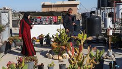 زوجان فلسطينيان ينجحان في إنتاج صابون طبي من شتلات الألوفيرا