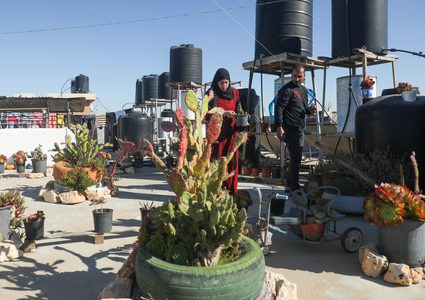 زوجان فلسطينيان ينجحان في إنتاج صابون طبي من شتلات الألوفيرا