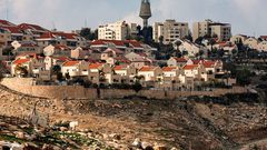 المنسق الأممي يؤكد عدم شرعية المستوطنات بالأراضي الفلسطينية ويدعو إلى "ضبط النفس