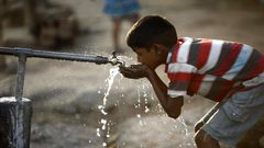 البنك الدولي : منطقة الشرق الأوسط تواجه شحا في المياه