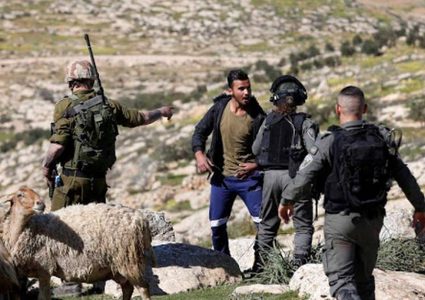 مستوطنون يعتدون على مواطن ويسرقون أغناما جنوب نابلس