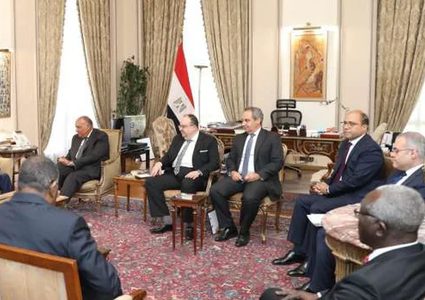 وزير خارجية مصر يؤكد لمبعوث البرهان ضرورة وقف إطلاق النار بالسودان