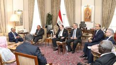 وزير خارجية مصر يؤكد لمبعوث البرهان ضرورة وقف إطلاق النار بالسودان