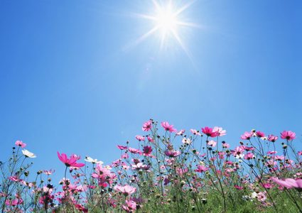 الطقس: أجواء صافية و ارتفاع على درجات الحرارة