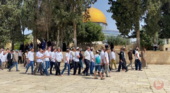 مُنظَّمات "الهيكل" تتجهَّز لاقتحام "كبير" للمسجد الأقصى