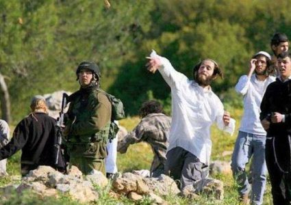 مستوطنون يعتدون على المزارعين في قريوت وجالود جنوب نابلس