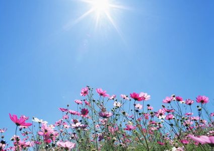 الطقس:أجواء ربيعية ويطرأ ارتفاع ملموس على درجات الحرارة