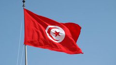 في ذكرى النكبة: تونس تؤكد موقفها الثابت والمبدئي الداعم للقضّية الفلسطينية