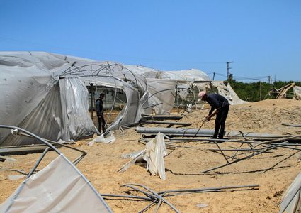 أكثر من مليون دولار خسائر القطاع الزراعي جراء العدوان على غزة