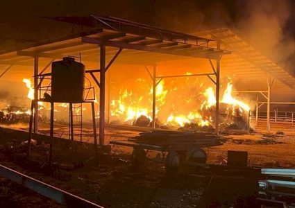 ستة قتلى على الأقلّ بحريق في نيوزيلندا