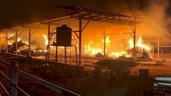 ستة قتلى على الأقلّ بحريق في نيوزيلندا