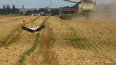 تمديد اتفاق تصدير الحبوب بين روسيا وأوكرانيا شهرين