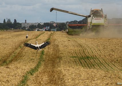 تمديد اتفاق تصدير الحبوب بين روسيا وأوكرانيا شهرين