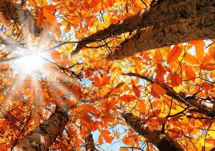 الأمم المتحدة ترجح أن تكون الفترة بين 2023 و2027 الأكثر دفئًا على الإطلاق