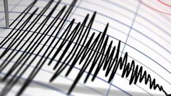 زلزال بقوة 7.7 درجات يضرب جنوبي المحيط الهادئ