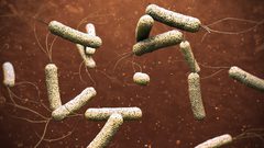 الصحة العالمية : مليار شخص مهددين بالكوليرا