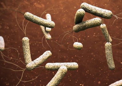 الصحة العالمية : مليار شخص مهددين بالكوليرا