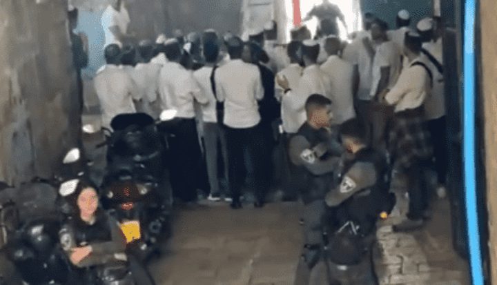 مستوطنون يؤدون رقصات استفزازية عند بابي الملك فيصل والغوانمة