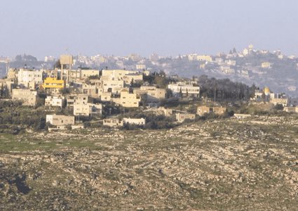 الاحتلال يستولي على 5 دونمات من أراضي شوفة في طولكرم