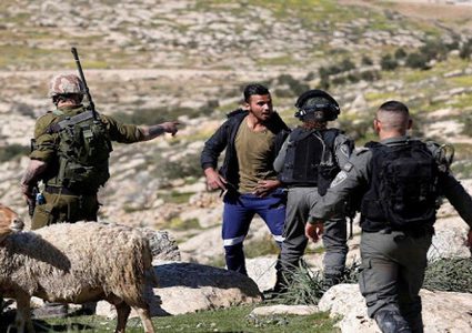 مستوطنون يهاجمون رعاة الأغنام في الأغوار الشمالية