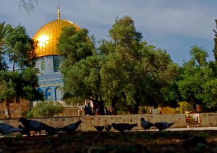 التعاون الإسلامي: لا حق لغير المسلمين في الأقصى