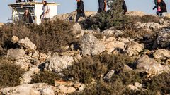 مستوطنون يتلفون محاصيل زراعية في بيت أمر شمال الخليل