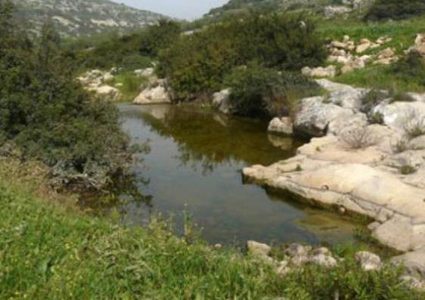 الخارجية تدين مشروع ضم المحميات