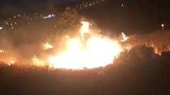 إصابات وإحراق محاصيل زراعية في هجوم للمستوطنين وقوات الاحتلال على دير دبوان