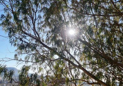 حالة الطقس: أجواء غير مستقرة وتوقعات بسقوط أمطار متفرقة