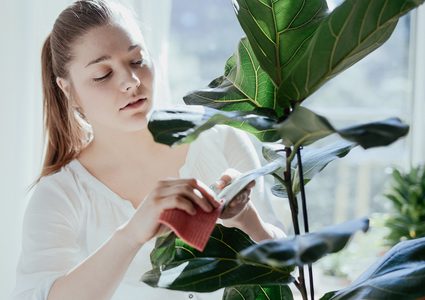 دراسة: زراعة النباتات في المنزل تحميك من خطر السرطان