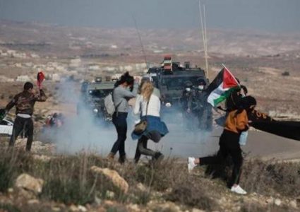 الاحتلال يعتقل متضامنين خلال قمعه فعالية سلمية في مسافر يطا