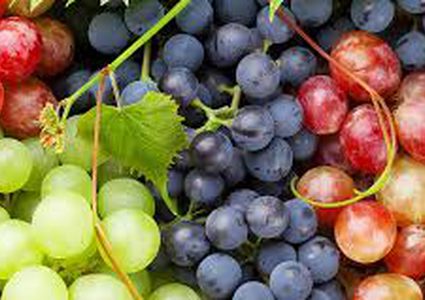 فوائد عديدة لتناول العنب ثلاث مرات باليوم