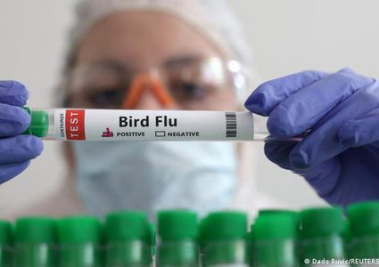 خبراء يحذرون: إنفلونزا الطيور فيروس سريع التطور