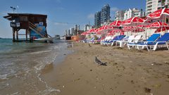 الصحة الإسرائيلية تحذر من السباحة في شواطئ مدينة حيفا