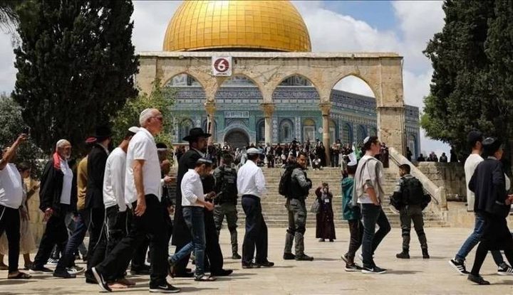 عشرات المستوطنين يقتحمون الأقصى وينفذون جولات استفزازية