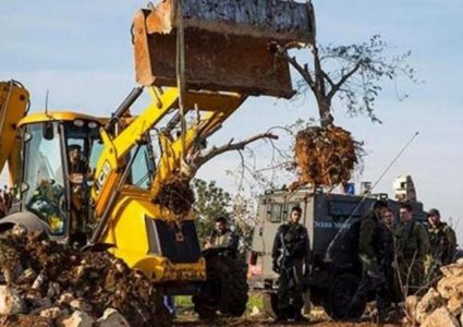 القدس: قوات الاحتلال تجرف شارعا وتهدم غرفة خشبية في بلدة حزما