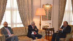 مصر والأمم المتحدة تبحثان جهود التهدئة في فلسطين