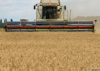 مسؤولة روسية: صبرنا نفد.. وتمديد اتفاق الحبوب بالشروط الراهنة “مستحيل”