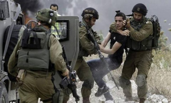 قوات الاحتلال تعتقل مواطنين في جنين
