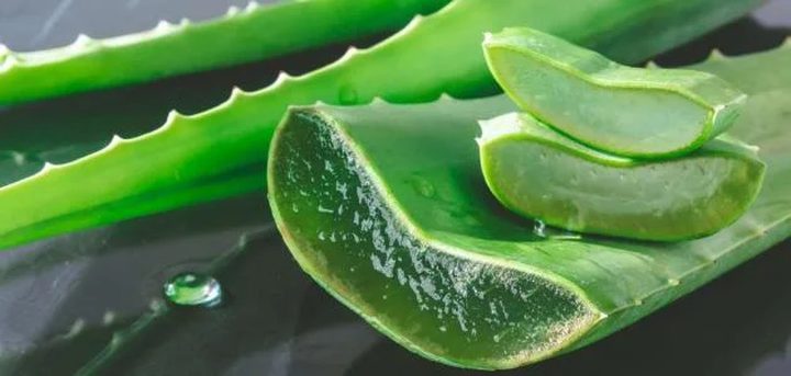 5 استعمالات تجميلية للألوفيرا